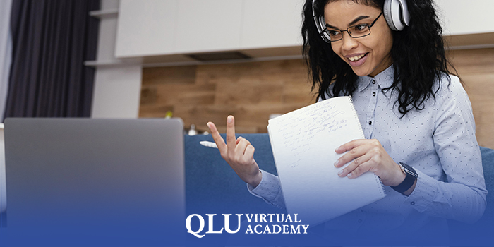what is a virtual school